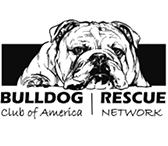 Giving Back 5 bca logo Giving Back