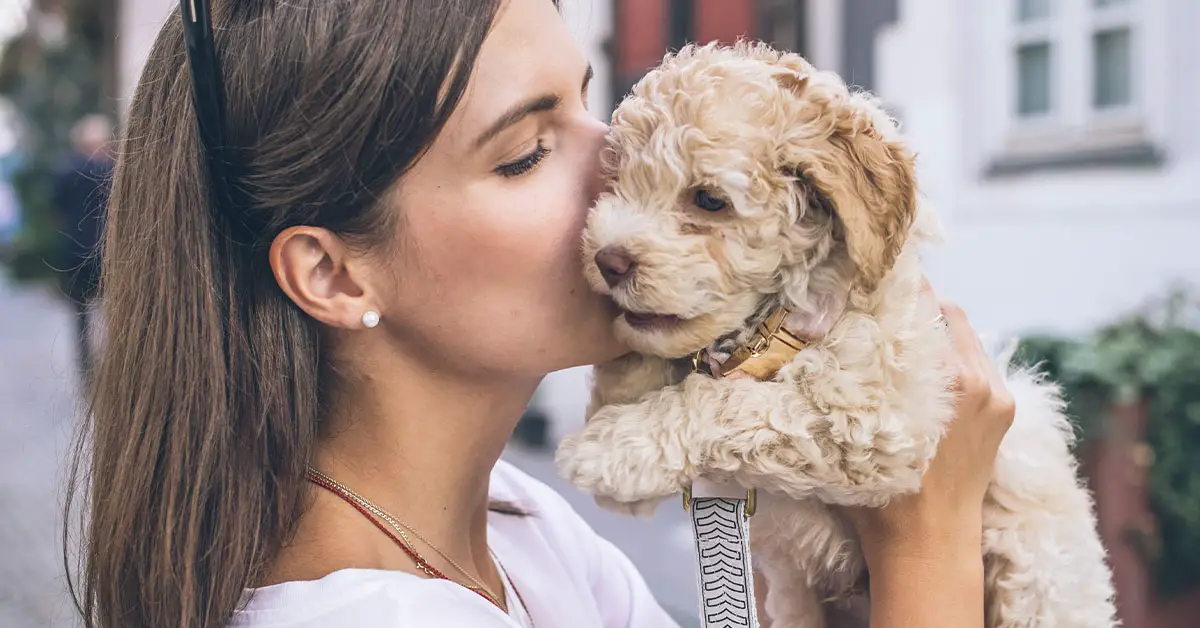 My Dog Has Dry Flaky Skin and Scabs Causes and How to Treat it