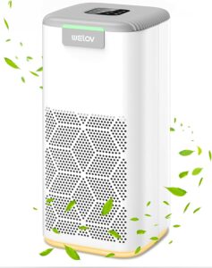 Air Purifiers for Home Large