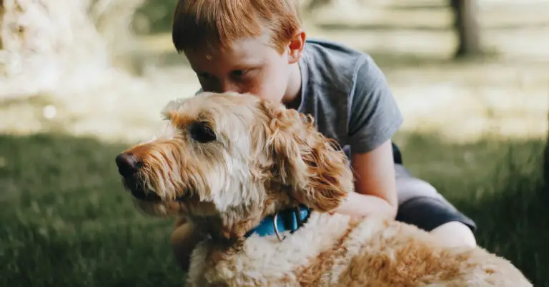 Exploring the Power of Therapy Dogs for Autism Children