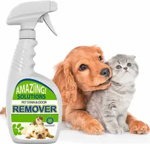 Amaziing Solutions Pet Stain