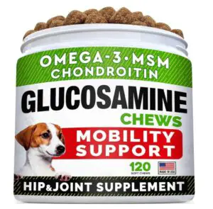 Glucosamine Treats for Dogs