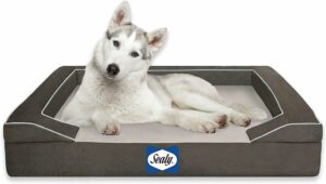 Sealy Lux Pet Dog Bed