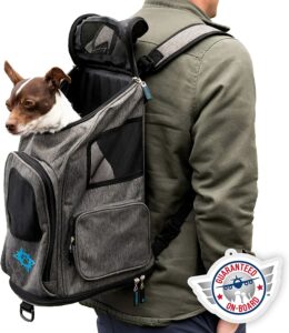 Sherpa 2-in-1 Backpack Travel