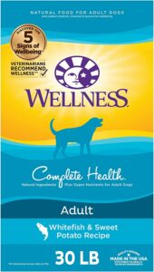 Wellness Complete Health Dry