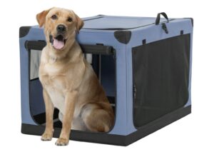 Image 11 07 2023 at 14.05 Best Car Crates for Dogs: Ensuring Safety and Comfort during Travel