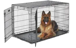 Image 11 07 2023 at 14.08 Best Car Crates for Dogs: Ensuring Safety and Comfort during Travel