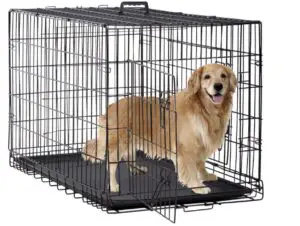 Image 11 07 2023 at 14.11 Best Car Crates for Dogs: Ensuring Safety and Comfort during Travel