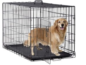 Image 11 07 2023 at 14.11 The 9 Best Car Crates for Dogs [year]: Affordable and Safe