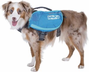 Outward Hound DayPak Blue