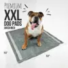 30x30 xxl puppy pads