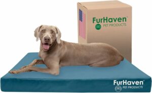 Furhaven Water-Resistant