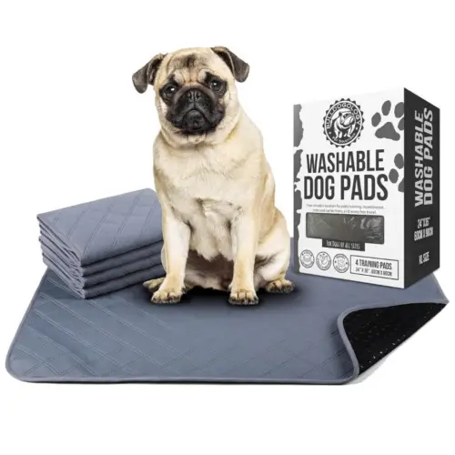 reusablepeepads01