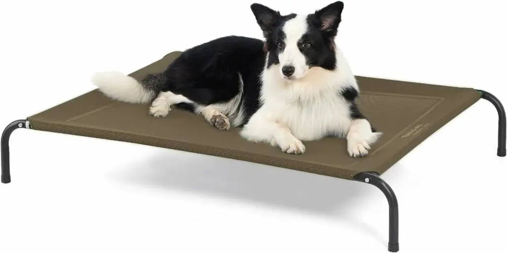 Bedsure Large Elevated 10 Best Elevated Dog Bed 2024 Top Rated