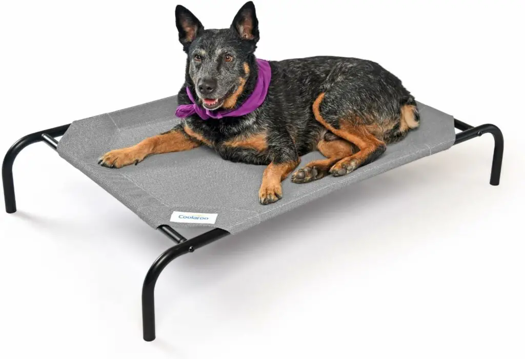 COOLAROO The Original 10 Best Elevated Dog Bed 2024 Top Rated