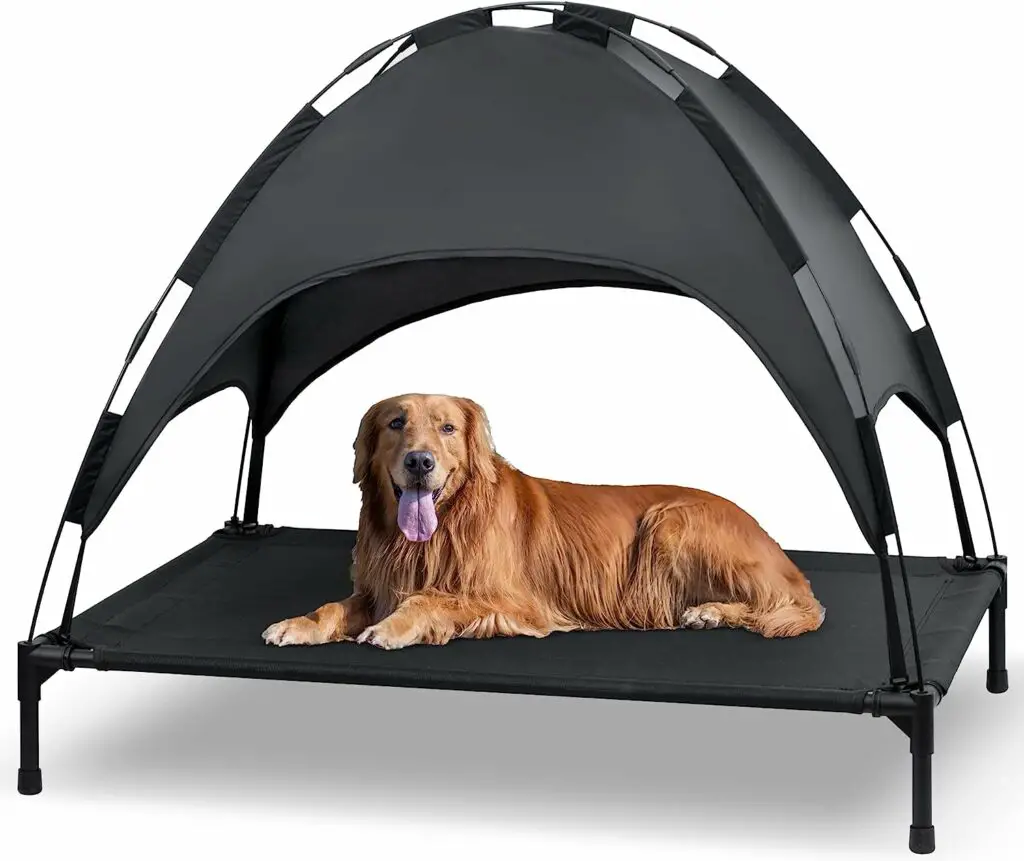Heeyoo Elevated Dog Bed 10 Best Elevated Dog Bed 2024 Top Rated