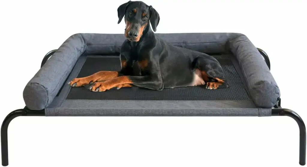PETIME Cooling Elevated Pet 10 Best Elevated Dog Bed 2024 Top Rated
