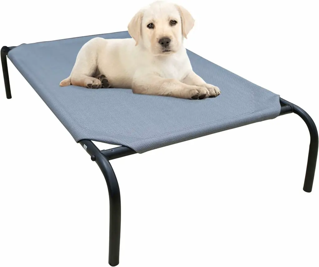 PHYEX Heavy Duty Steel 10 Best Elevated Dog Bed 2024 Top Rated