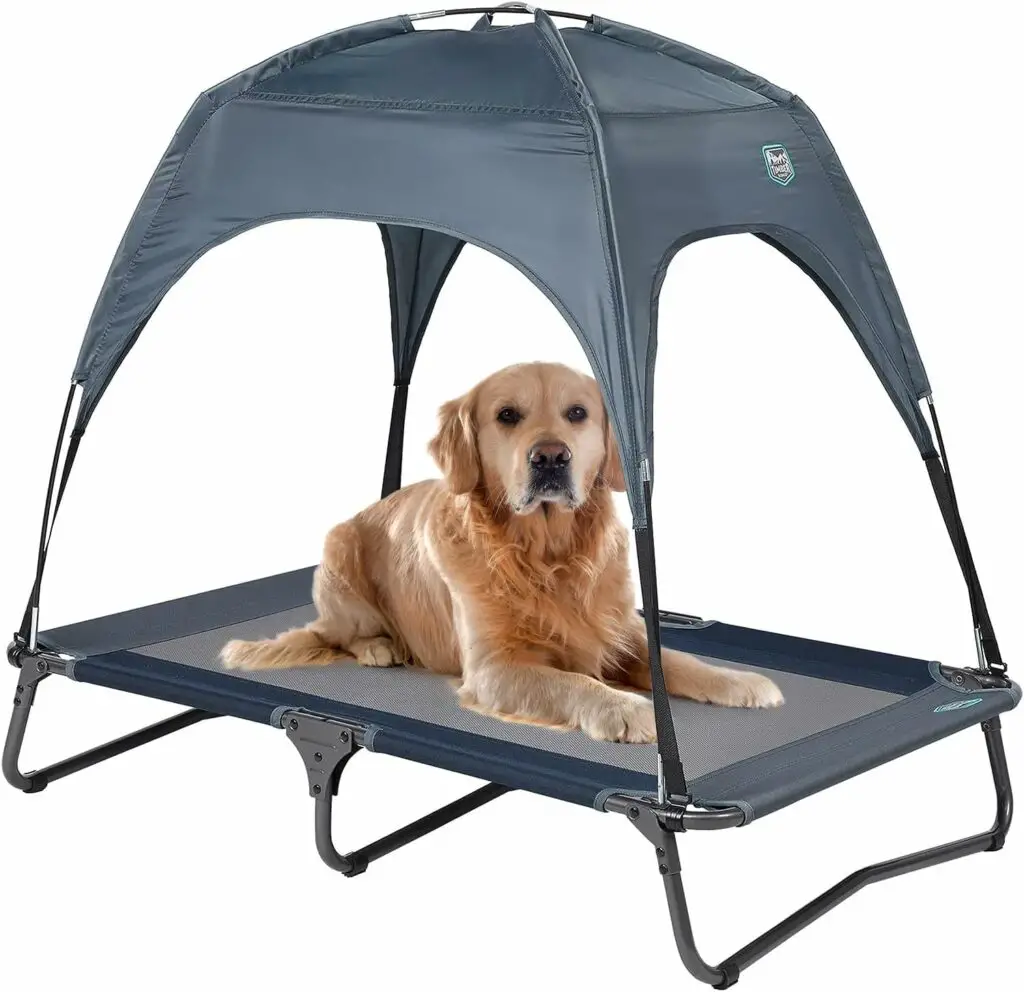 TIMBER RIDGE Large Elevated 10 Best Elevated Dog Bed 2024 Top Rated