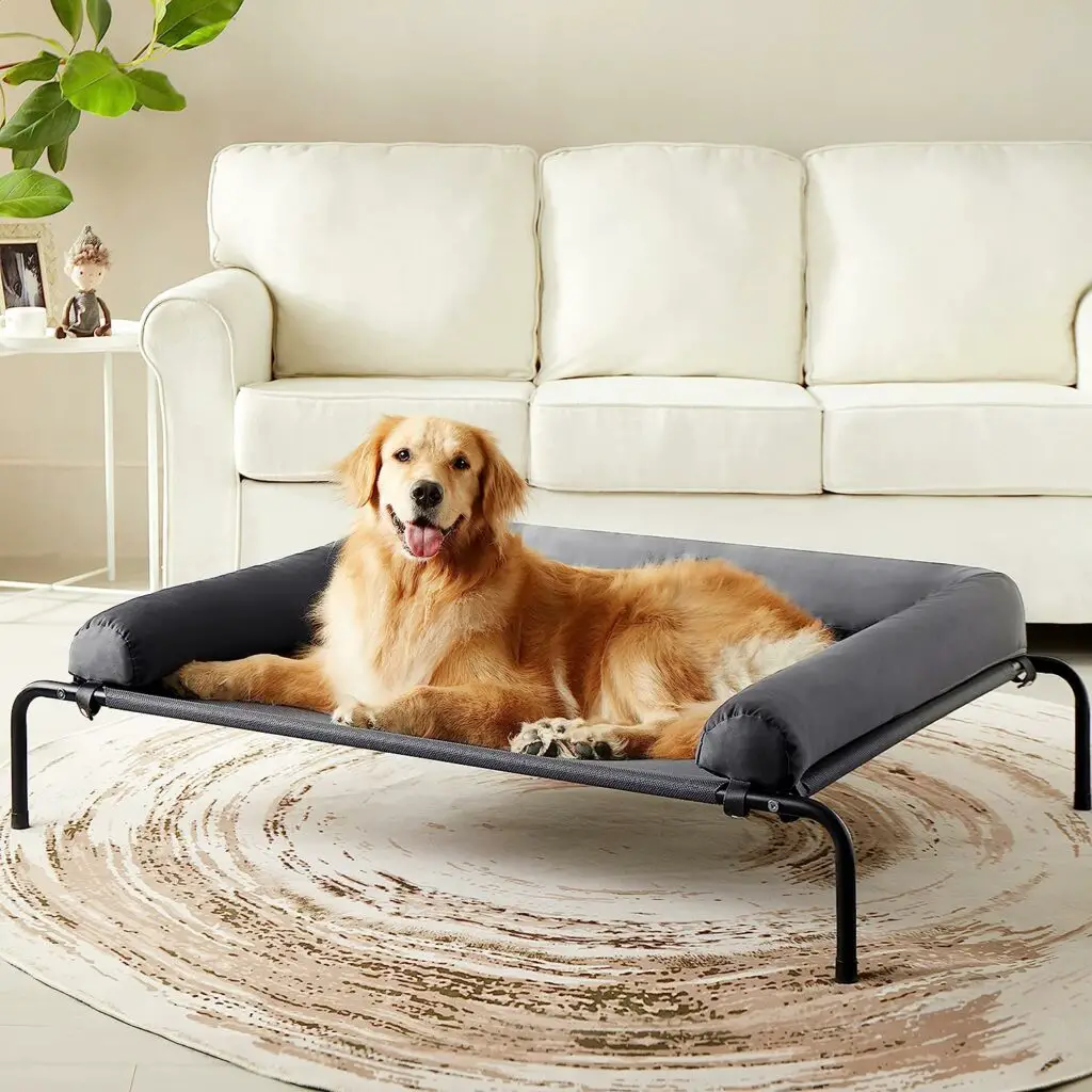 Western Home Elevated Dog 10 Best Elevated Dog Bed 2024 Top Rated