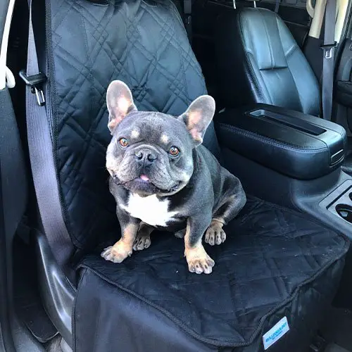 Dog Car Seat Covers | Back Seat Dog Cover | Bulldogology