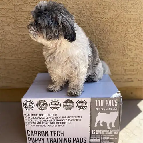 pp customer images 0002 1259CF4B 5F49 410C 9886 F0A3FC0EED37 Premium Pet Training Pads XXL (30x36")