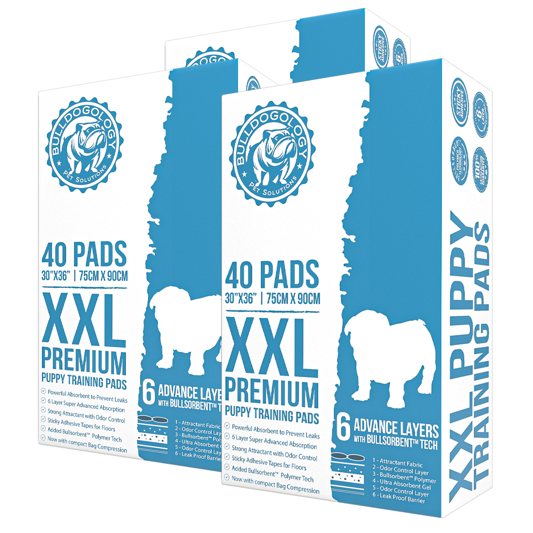 Premium Pet Training Pads XXL 3x 30 36 120 Count Bulldogology