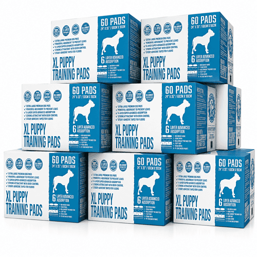 Premium Pet Training Pads XL (24×35″) - 480-Count