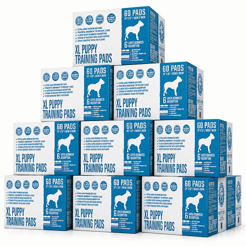 Premium Pet Training Pads XL (24×35″) - 600-Count