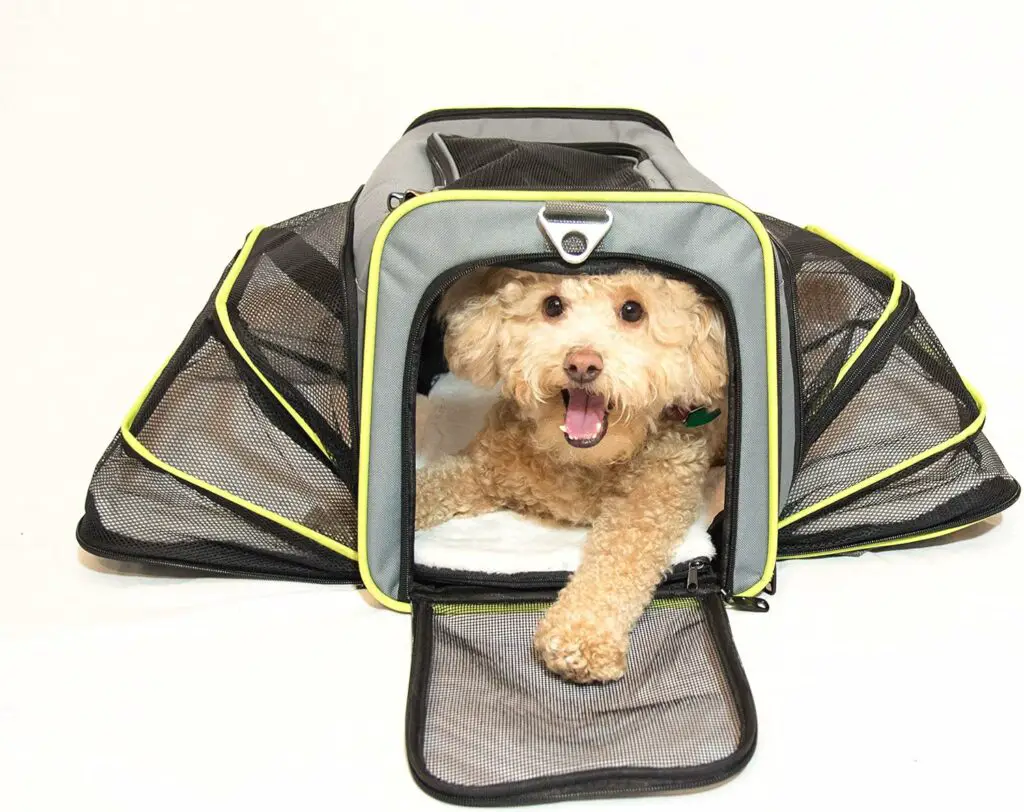 PETS GO2 Premium Small Pet Motorcycle Pet Carrier: 7 Best Premium Quality Pet Carriers In 2024
