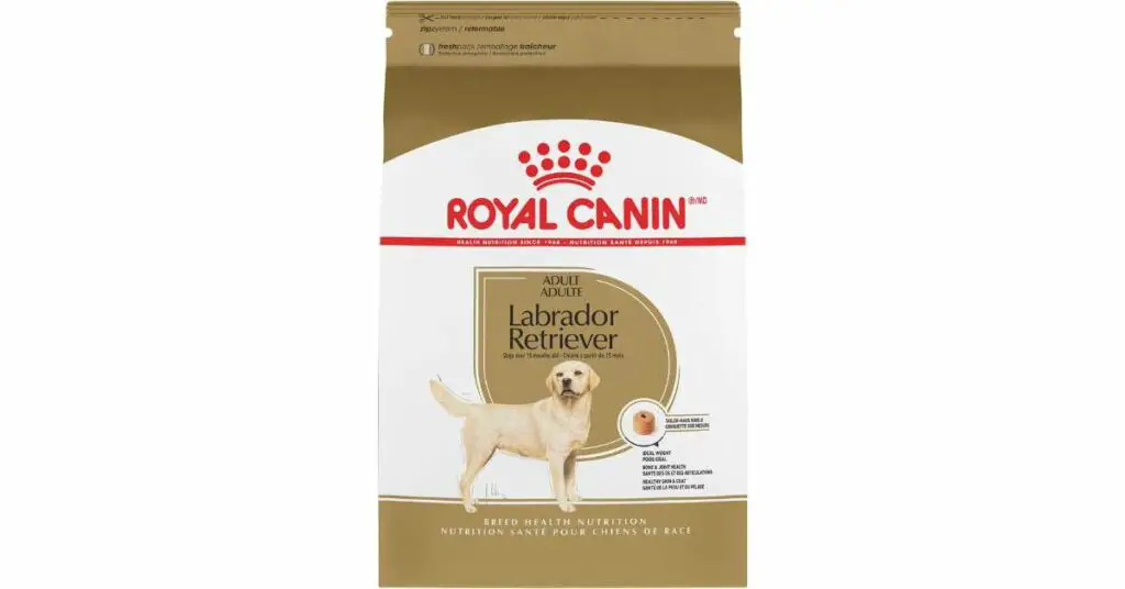 Untitled design 64 Royal Canin vs Purina Pro Plan - Dog Food Comparison in 2024