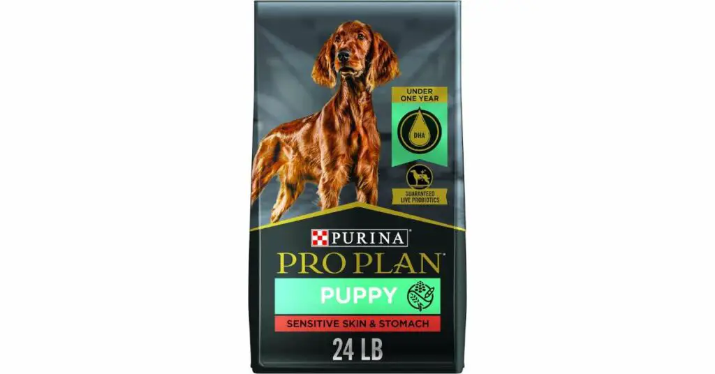 Untitled design 67 Royal Canin vs Purina Pro Plan - Dog Food Comparison in 2024