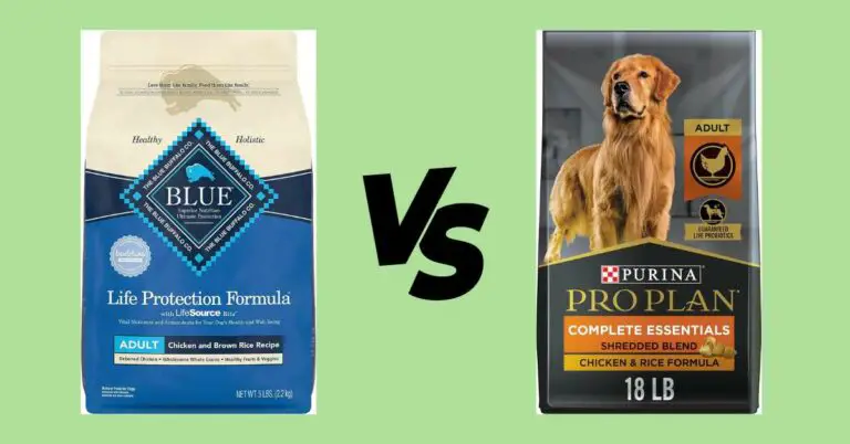 Blue Buffalo vs Purina Pro Plan: Which One is Better? 2024 Updated