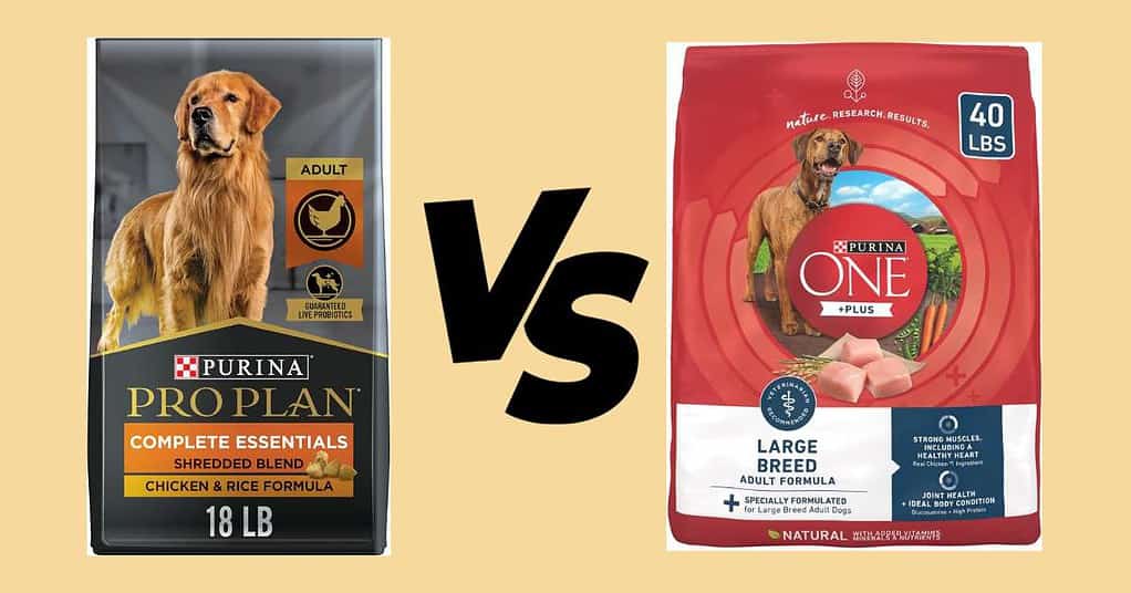 Purina Pro Plan vs Purina One Dog Food Comparison in 2024