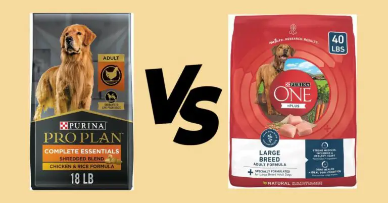 Purina Pro Plan vs Purina One – Dog Food Comparison in 2024