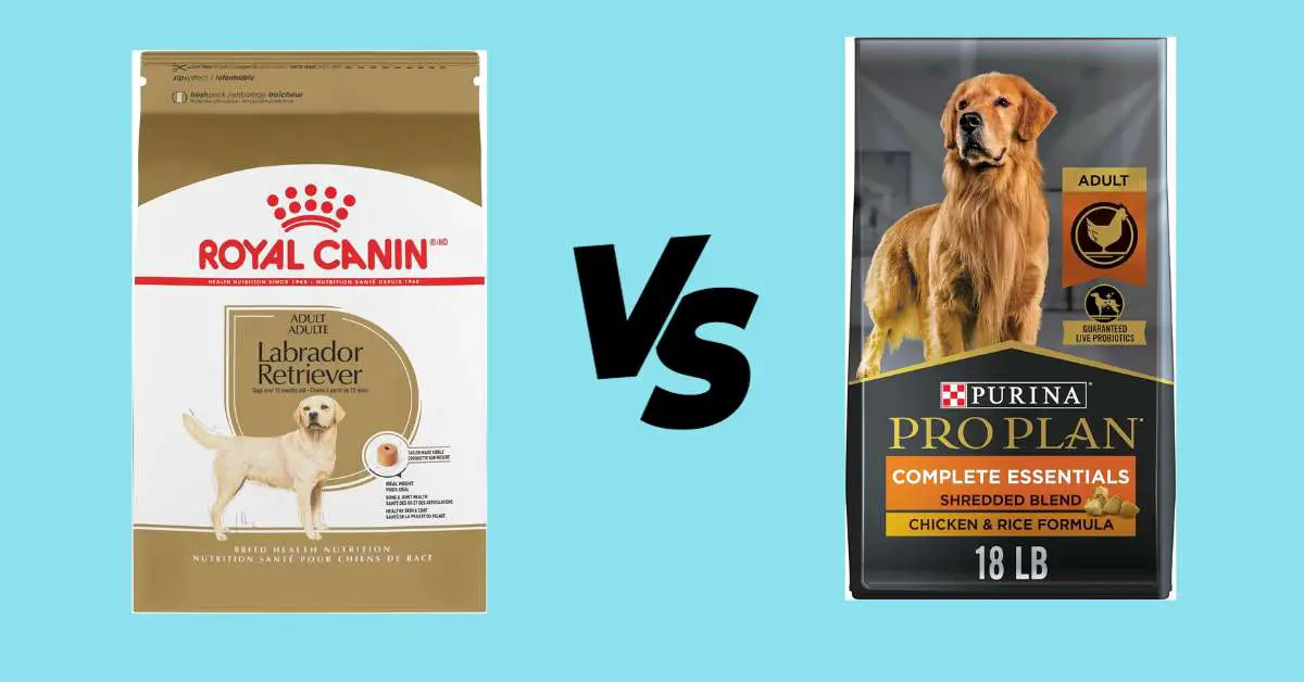 royal canin vs purina pro plan
