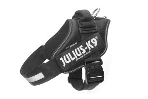 Julius K9 IDC Dog Harness 300x200 1 The 5 Best Bulldog Harness for 2024
