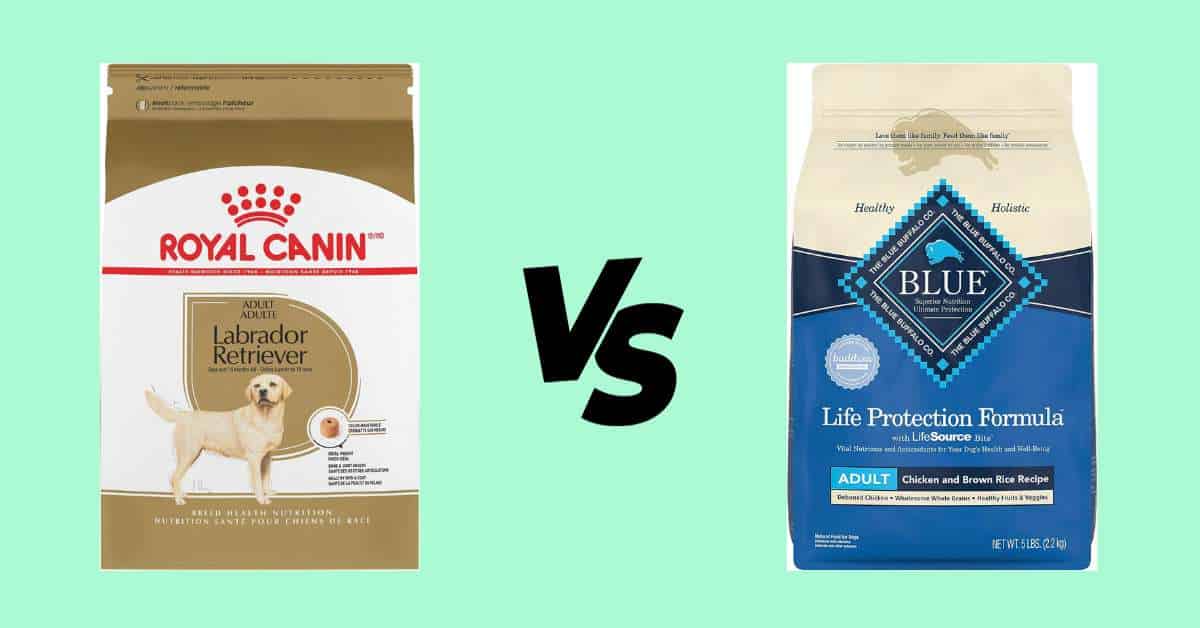 royal canin vs blue buffalo